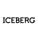 ICEBERG